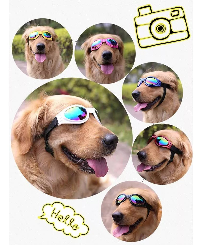 Gafas protectoras para mascotas