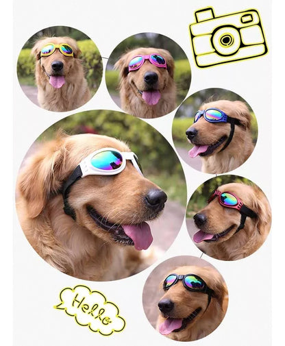 Gafas protectoras para mascotas