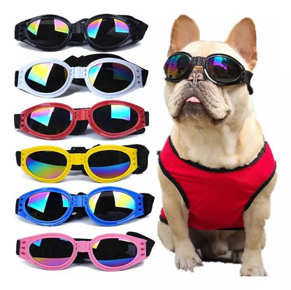 Gafas protectoras para mascotas