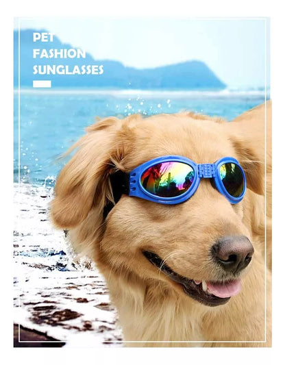 Gafas protectoras para mascotas