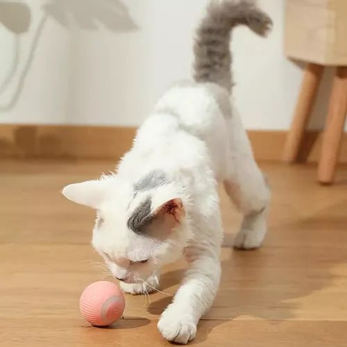 Pelota inteligente para mascotas - SE MUEVE SOLA!